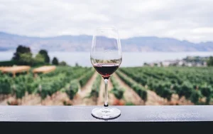 $6 Premium Wines by the Glass on Olive Garden Happy Hour Menu